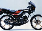 1984 Kawasaki AR 80